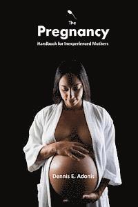 bokomslag The Pregnancy Handbook for Inexperienced Mothers