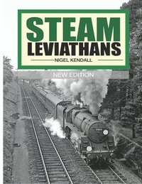 bokomslag Steam Leviathans