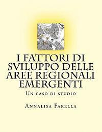 bokomslag I fattori di sviluppo delle aree regionali emergenti: Un caso di studio