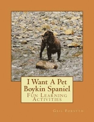 bokomslag I Want A Pet Boykin Spaniel