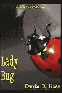 bokomslag Lady Bug