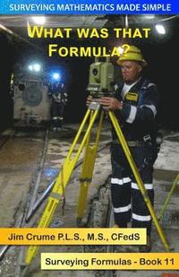 bokomslag What was that Formula?: Surveying Formulas