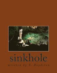 sinkhole 1