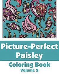bokomslag Picture-Perfect Paisley Coloring Book (Volume 2)