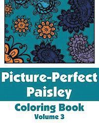 bokomslag Picture-Perfect Paisley Coloring Book (Volume 3)