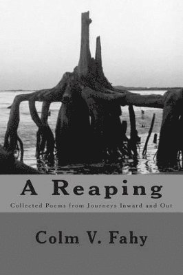 The Reaping 1