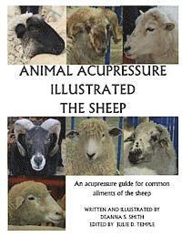 bokomslag Animal Acupressure Illustrated The Sheep