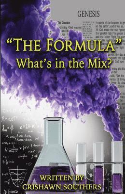 bokomslag The Formula: What's in the Mix?