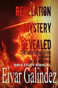 bokomslag Revelation Mystery Revealed