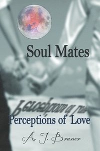 bokomslag Soul Mates: Perceptions Of Love