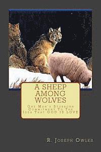 A Sheep Among Wolves: One Man's Stubborn Commitment To The Idea That GOD IS LOVE 1