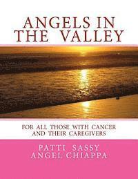 bokomslag Angels In The Valley: A Devotional For Cancer Patients