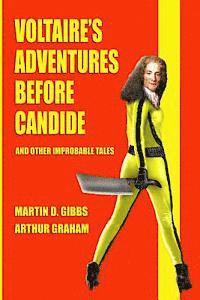 bokomslag Voltaire's Adventures Before Candide: And Other Improbable Tales