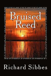 bokomslag Bruised Reed