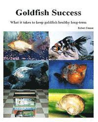 bokomslag Goldfish Success: What it takes to keep goldfish healthy long-term