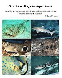 bokomslag Sharks & Rays in Aquariums: Gaining an understanding of how to keep these fishes in captive saltwater systems
