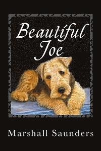 Beautiful Joe 1