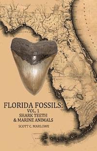 bokomslag Florida Fossils: Shark Teeth & Marine Animals