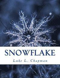 bokomslag Snowflake