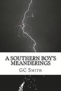 bokomslag A Southern Boy's Meanderings: Poetry