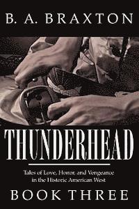 bokomslag Thunderhead, Book Three: Tales of Love, Honor, and Vengeance in the Historic American West