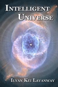 bokomslag Intelligent Universe