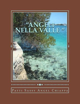 bokomslag 'Angeli nella Valle '