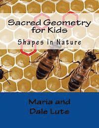 bokomslag Sacred Geometry for Kids: Shapes in Nature