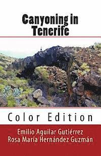 bokomslag Canyoning in Tenerife (Color)