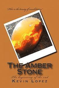 bokomslag The Amber Stone