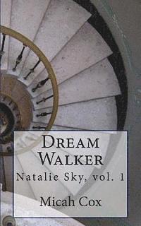 bokomslag Dream Walker
