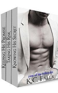 bokomslag Year of the Billionaire: Parts 1, 2, & 3 (Boxed Set)