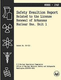 bokomslag Safety Evaluation Report Related to the License Renewal of Arkansas Nuclear One, Unit 1