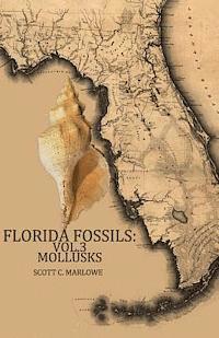 bokomslag Florida Fossils: Mollusks