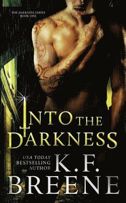 bokomslag Into the Darkness (Darkness, 1)