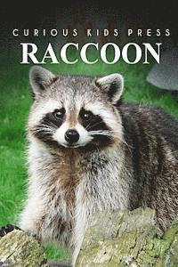 bokomslag Raccoon - Curious Kids Press