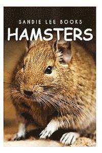 bokomslag Hamsters - Sandie Lee Books