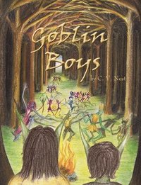 bokomslag Goblin Boys