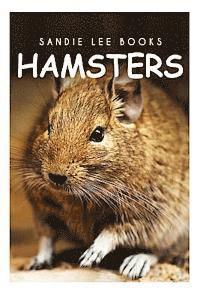 bokomslag Hamsters - Sandie Lee Books