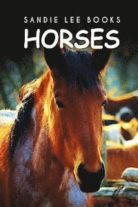 bokomslag Horses - Sandie Lee Books