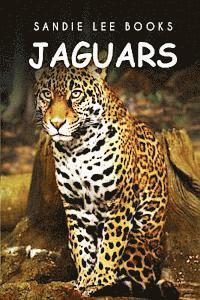 bokomslag Jaguars - Sandie Lee Books