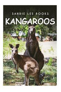 bokomslag Kangaroos - Sandie Lee Books