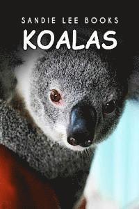 bokomslag Koalas - Sandie Lee Books