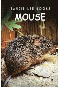 Mouse - Sandie Lee Books 1