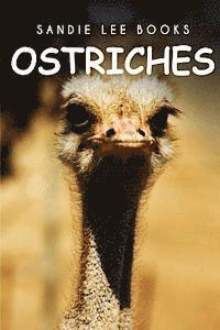 bokomslag Ostriches - Sandie Lee Books