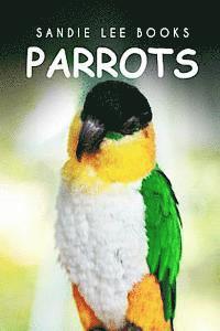 bokomslag Parrots - Sandie Lee Books