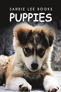 bokomslag Puppies - Sandie Lee Books