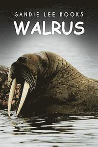 Walrus - Sandie Lee Books 1