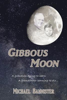 Gibbous Moon 1