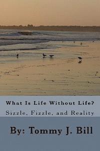 What Is Life Without Life: Sizzle, Frizzle, and Reality 1